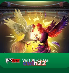 cwin22